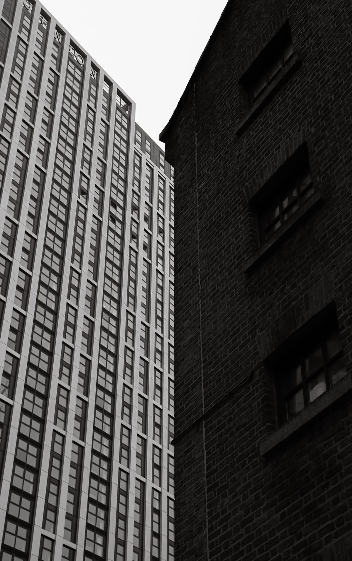 Documentary 275a0599
